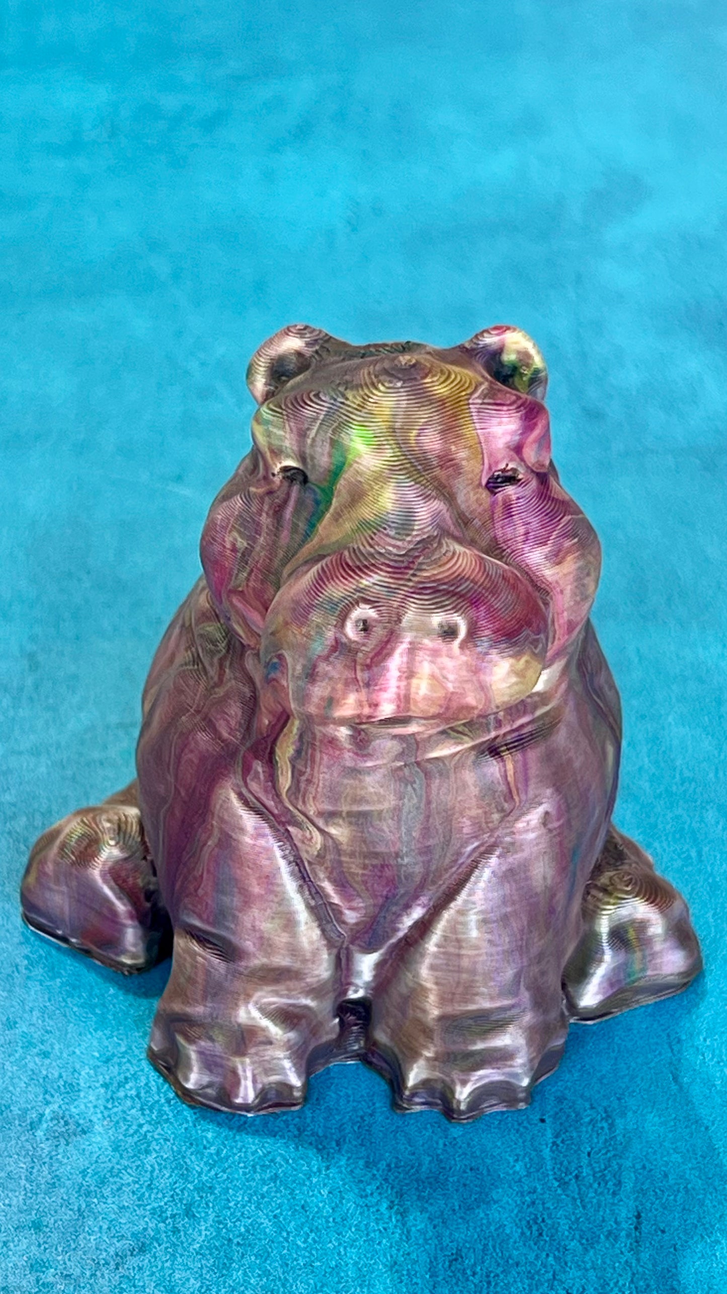Hippo Hippo