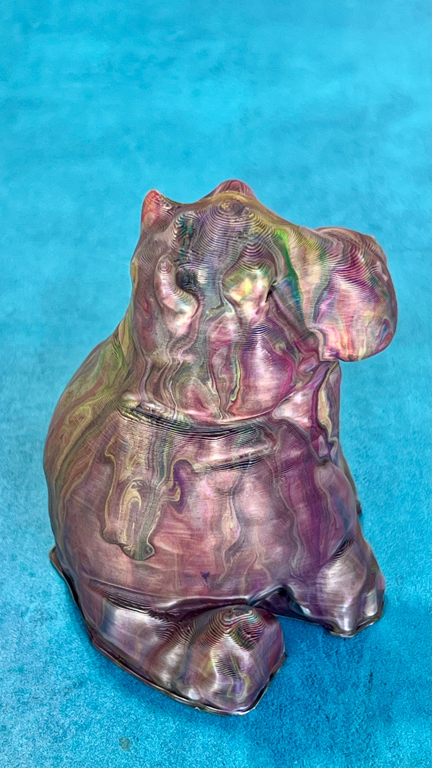 Hippo Hippo