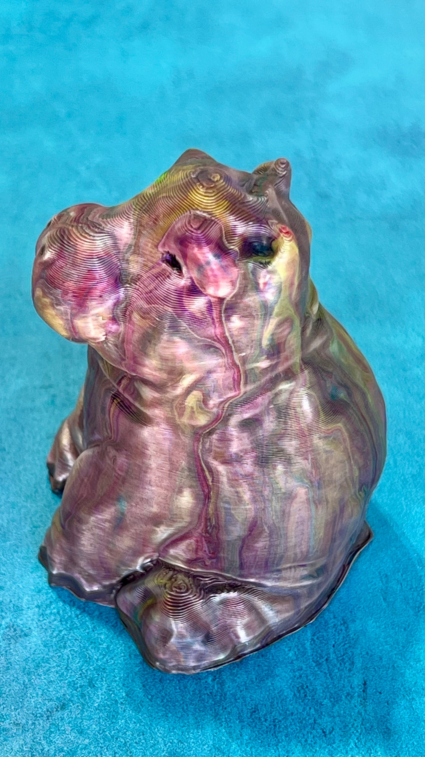 Hippo Hippo