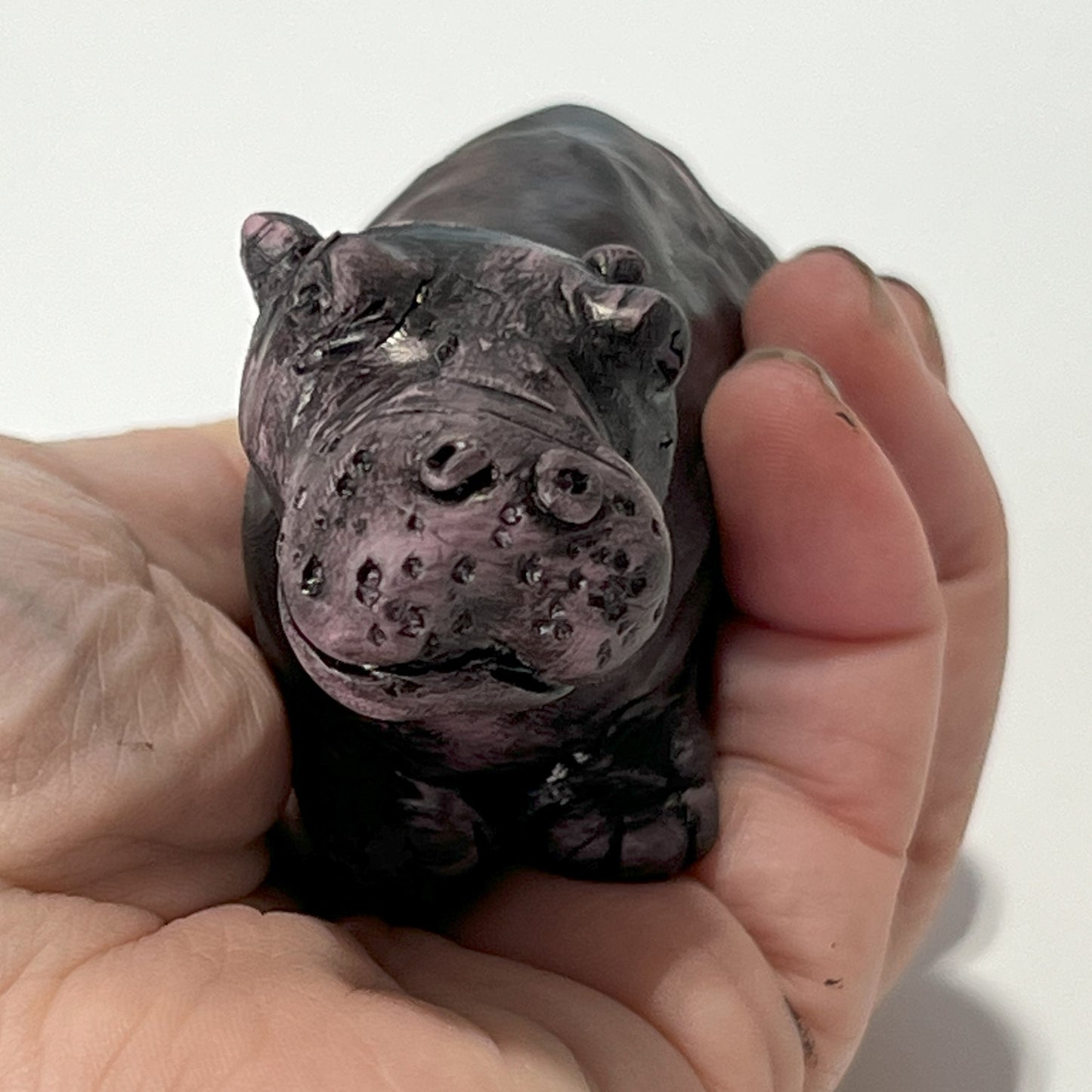 Sculpting A Simple Hippo Class