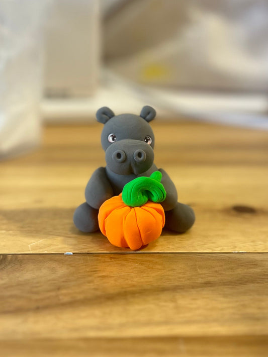 10/17/26 Fall Foam Clay Hippo Class