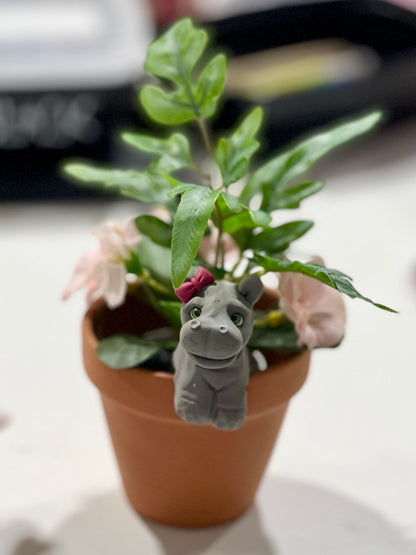 Make A Hippo for Your Houseplant! (Pick your day/time)