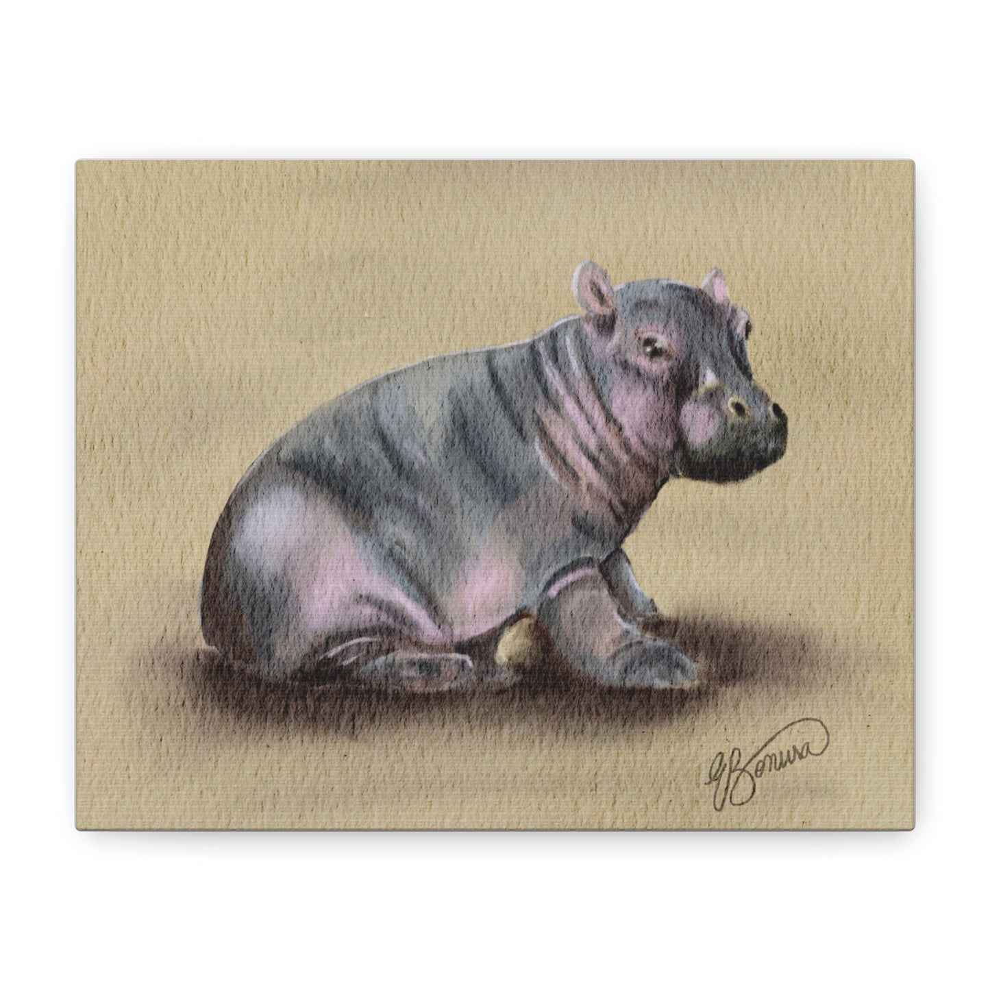 Baby Hippo Art Print — Matte Stretched Canvas Wall Decor