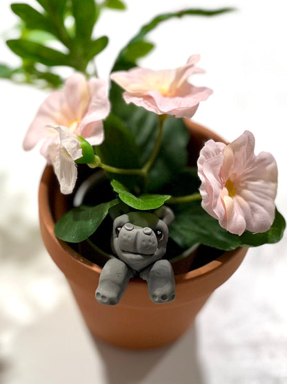 Make A Hippo for Your Houseplant! (Pick your day/time)