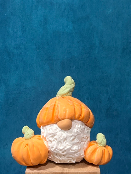 11/05/26 Foam Clay Fall Gnome Workshop
