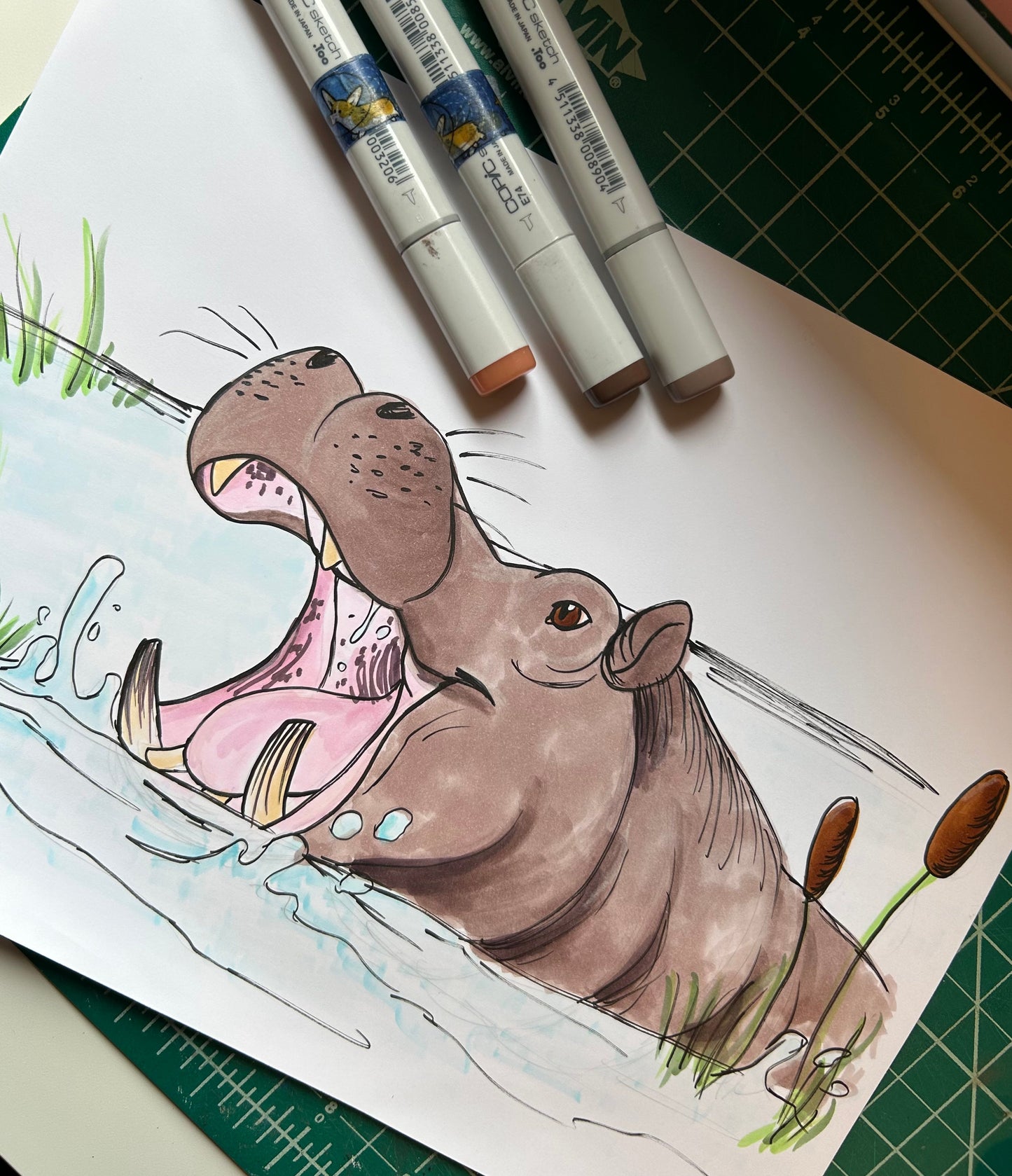 Hippo Illustrations - In Person Class by Alex