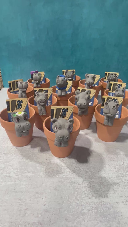 Make A Hippo for Your Houseplant! (Pick your day/time)